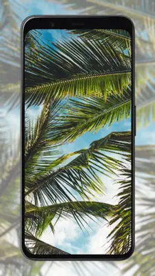 Palm Tree Wallpapers android App screenshot 0