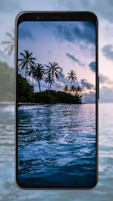 Palm Tree Wallpapers android App screenshot 1