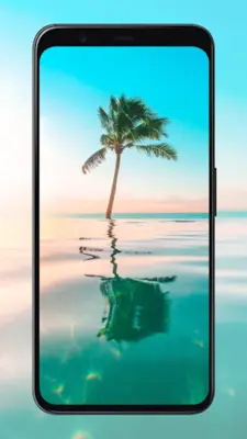 Palm Tree Wallpapers android App screenshot 2