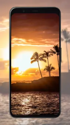 Palm Tree Wallpapers android App screenshot 4