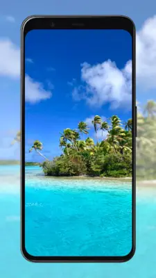 Palm Tree Wallpapers android App screenshot 5