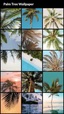 Palm Tree Wallpapers android App screenshot 6