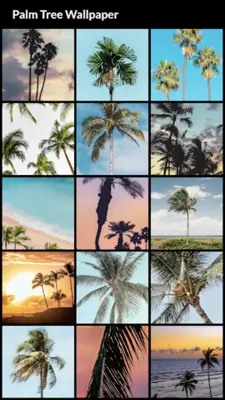 Palm Tree Wallpapers android App screenshot 7